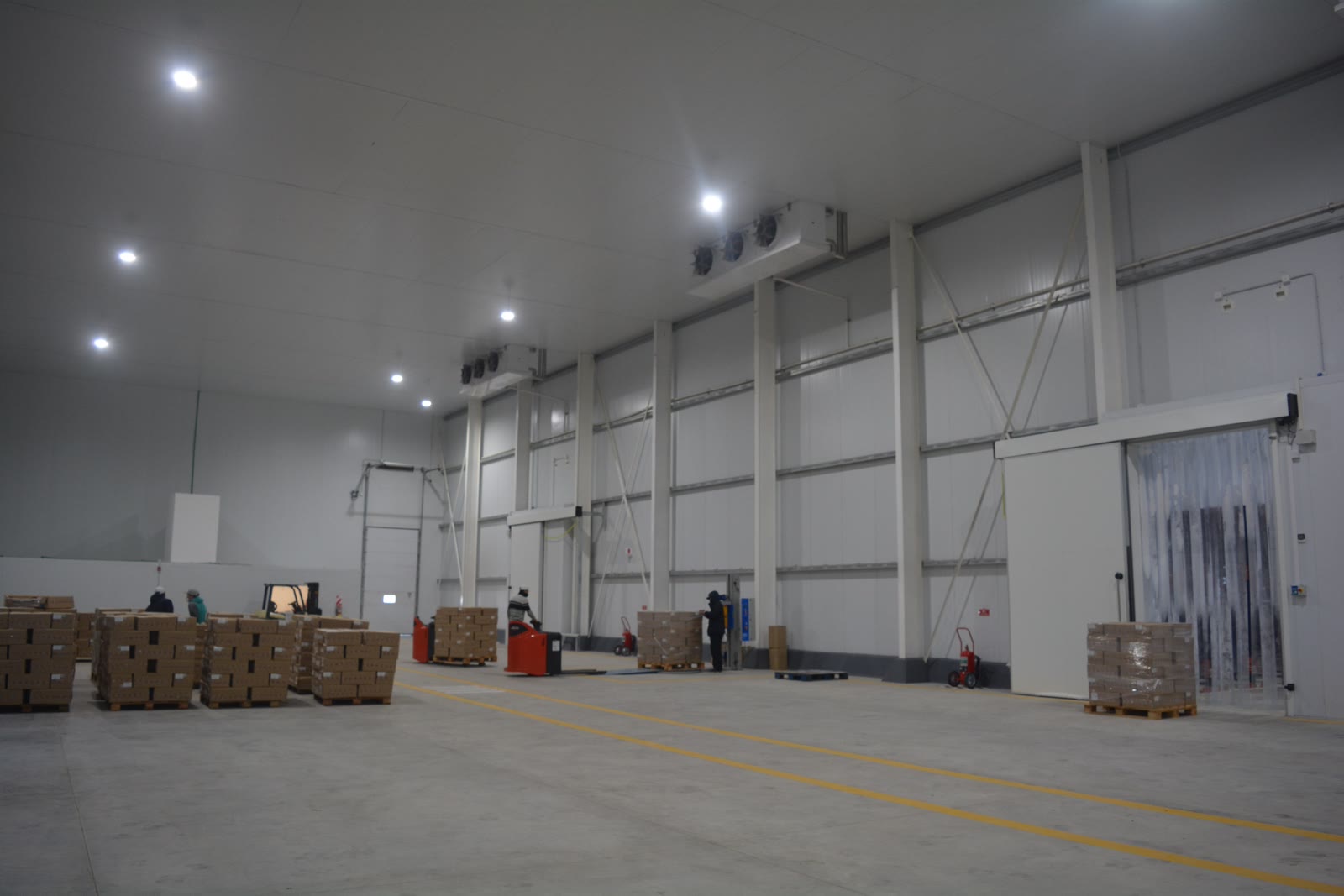 Planta de congelado de productos pesqueros 2