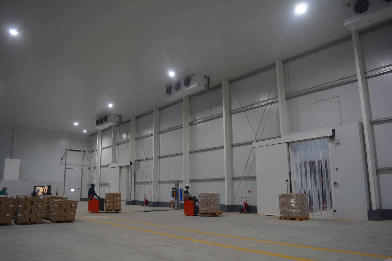 Planta de congelado de productos pesqueros 3
