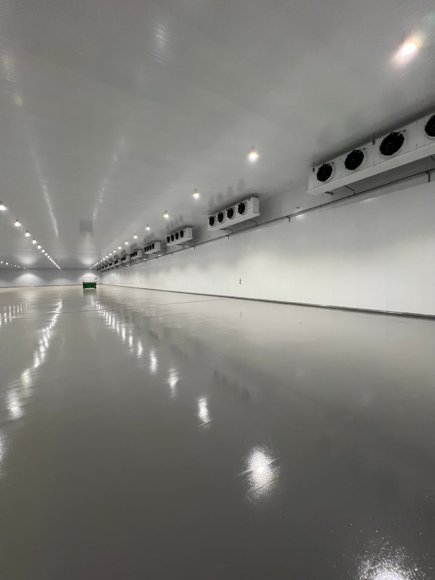 Centro de distribución con Amoniaco por expansión directa (DX) 2